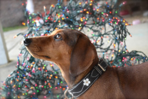 Friday After Next Quotes All I Want For Christmas Christmas header ...