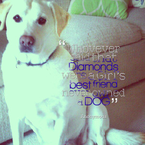 Quotes Picture: whovever said that diamonds were a girl's best friend ...