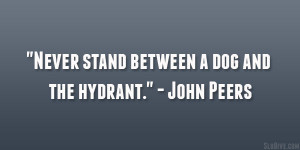 Never stand between a dog and the hydrant.” – John Peers