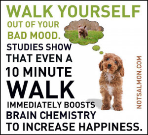 walking is the probably the easiest form of exercise you can get ...