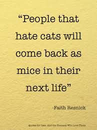 mice cats hilarious quotes karma cat quotes kitti hate cat past life ...