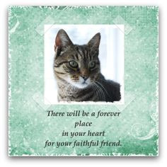 Free Cat Sympathy Card ~ to print or to share online. More