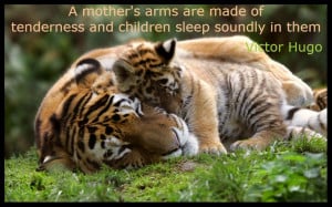 Mothers Day Quotes: Mama Tiger Can Cub