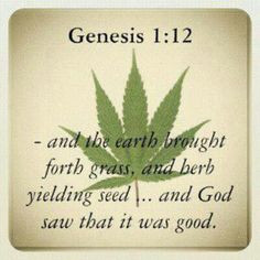 Weed ♥ God approved. Hate the demonization of God's creation.