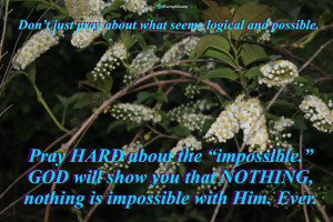 ... NOTHING, nothing is impossible with Him. Ever. 