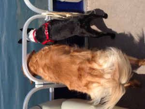 Guess She Getting Too Big