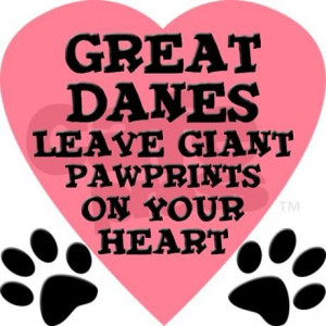 Great Dane Dogs