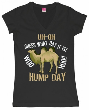 Uh-Oh Hump Day Womens V-Neck Junior Fit Jersey T-Shirt