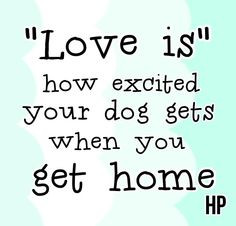 ... how excited your dog gets when you get home.. #love #petlove #quotes