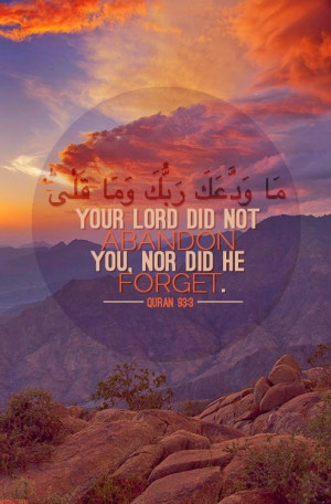 Naveed Shamem 6:32 AM