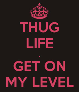 Quotes About Thug Life