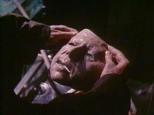 Karen Witter Rotten Tomatoes