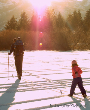 Displaying 15> Images For - Falling Down Movie Quotes...