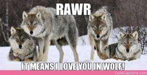 Rawr Means Love You Wolf