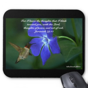 ... on Hummingbird Lover Gifts T Shirts Hummingbirds And Friends T Shirts