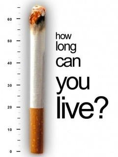 Stop Smoking Wallpaper 240x320 cigarette, cool, smoke, text,