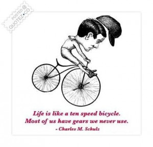 Life is like a ten speed bicycle quote