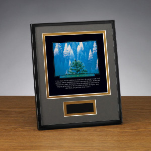 Essence of Leadership Framed Award (701766)