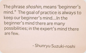 The phrase shoshin means beginner’s mind. In the beginner’s mind ...