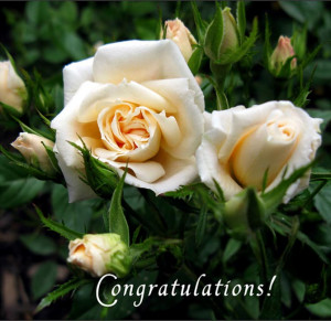 graphicality-uk.blogsp...Graphicality-UK: 05.03. More famous quotes