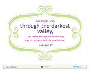 Psalm 23:4 NIV Bible Verse About Courage I focus on this so much as I ...