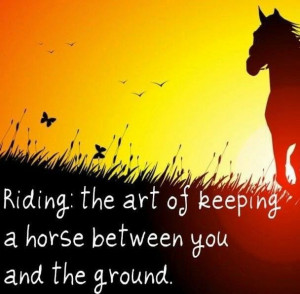 horse #riding #quotes Love to rideArt Quotes, Horseback Riding, Horses ...