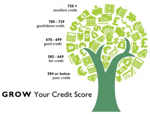 Raise Your Credit Score...