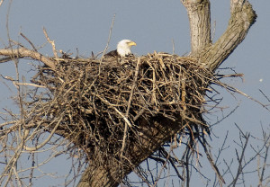 Kehlsteinhaus Eagles Nest...