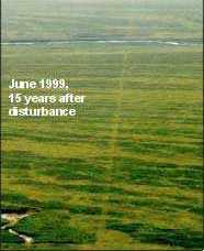 Courtesy of U.S. Fish and Wildlife Service