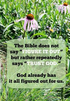 So true! I languish because I cannot figure it out, but I'm not ...