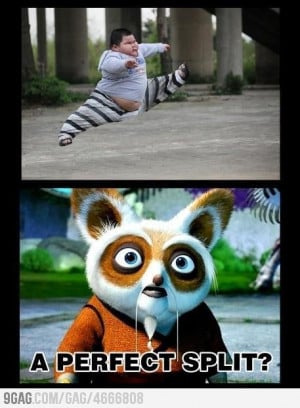 The real kung-fu panda