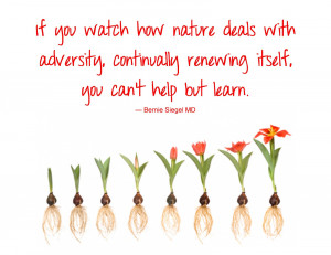 spring. every spring, especially early on, i feel a sense of renewal ...