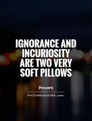 Ignorance Quotes Curiosity Quotes Proverb Quotes