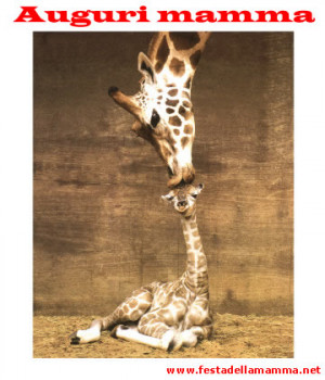 Auguri festa della mamma