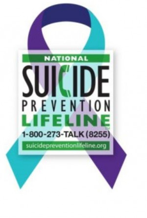 emotional support to people in suicidal crisis or emotional distress ...