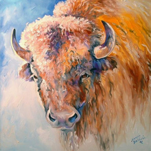 native american white buffalo