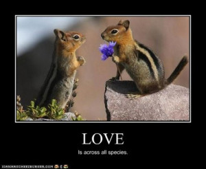 love it across all species