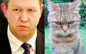 PHOTOS: Cats that look like David Cunliffe