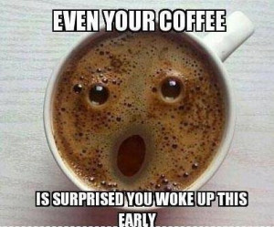 Source: http://funnyanimalpicturescat.com/stories/9238/Even-You-Coffee ...