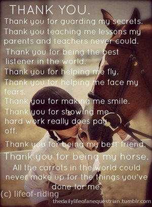Thread: My horse my best friend best quotes