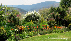 bridge over a garden bed with stunning views of the Drakensberg ...