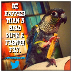 ... bird with a french fry. #quotes #fries #yum | hatcreekburgers.com