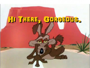 ... wile is the u s dollar in the midst of the longest wile e coyote