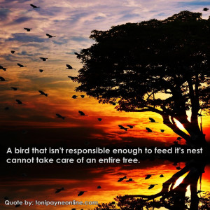 Quote about Responsibility – A bird that isn’t responsible enough ...