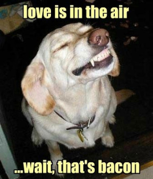 love is in the air.. wait, that's bacon