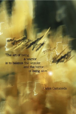 ... Warriors, Quotes Texts Words, Carlos Castaneda Quotes, Inspiration