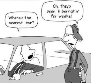 Are southern accents annoying?