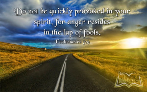 ... be quickly provoked in your spirit Ecclesiastes English Bible Verses