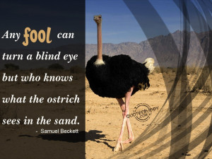 Any Fool Can Turn A Blind Eye