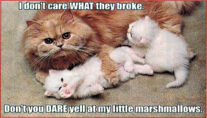 Here's some more pictures about Family: